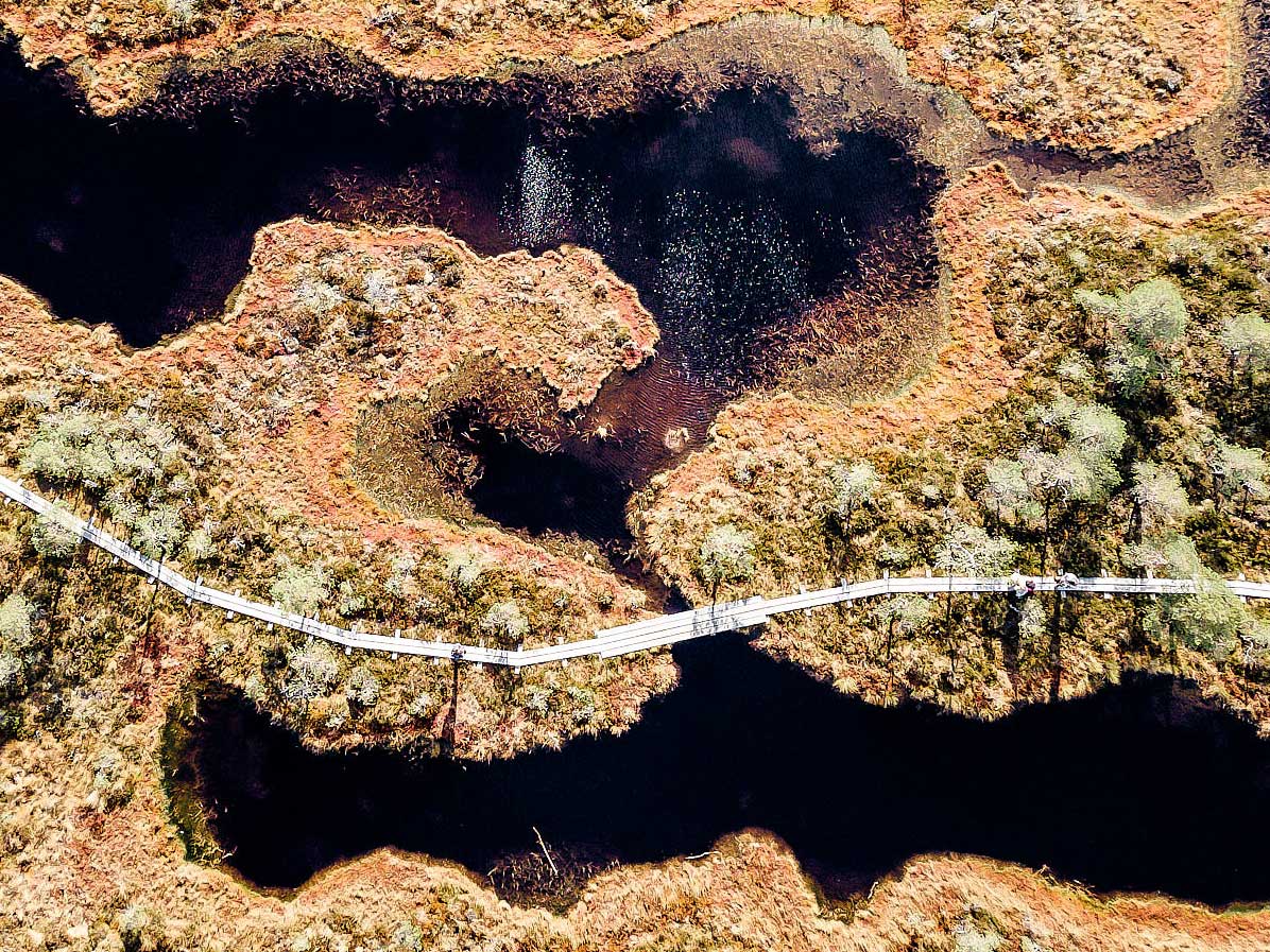 luontoon-fi-3 3 luontoon fi 3